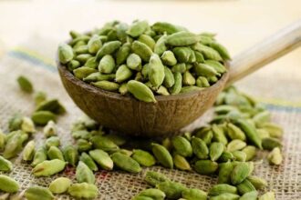 Chewing Cardamom Benefits: