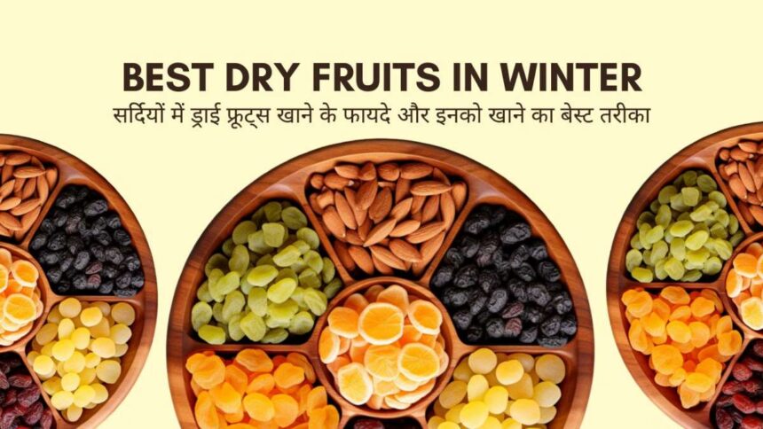 सर्दियों में सबसे अच्छे ड्राई फ्रूट्स (Best Dry Fruits in Winter in India)