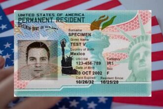 Green Card Applications